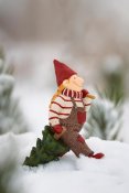 Ribenisserne Freja med julgran
