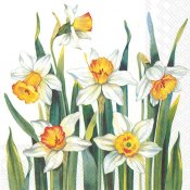 Servetter, Vita påskliljor, Lunch