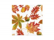 Servetter, Fall Colors, Lunch