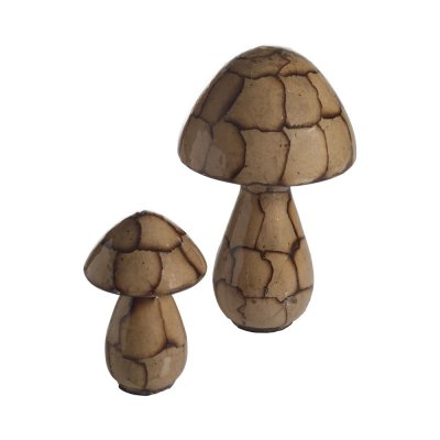 Svamp i glas Zuri, liten brun