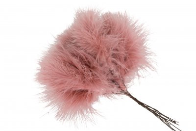 Fjädrar 12-pack Pudervippa, gammelrosa