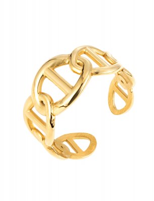 CD pattern ring, guld