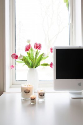 Doftljus 45 h, BÄRNSTEN & TONKABÖNA