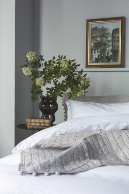 Vas Bruno, Mogi Home