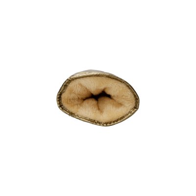 Vantar Paloma, Espresso