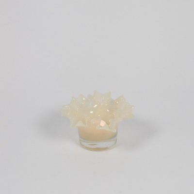 Loa ljuskopp, vanilj